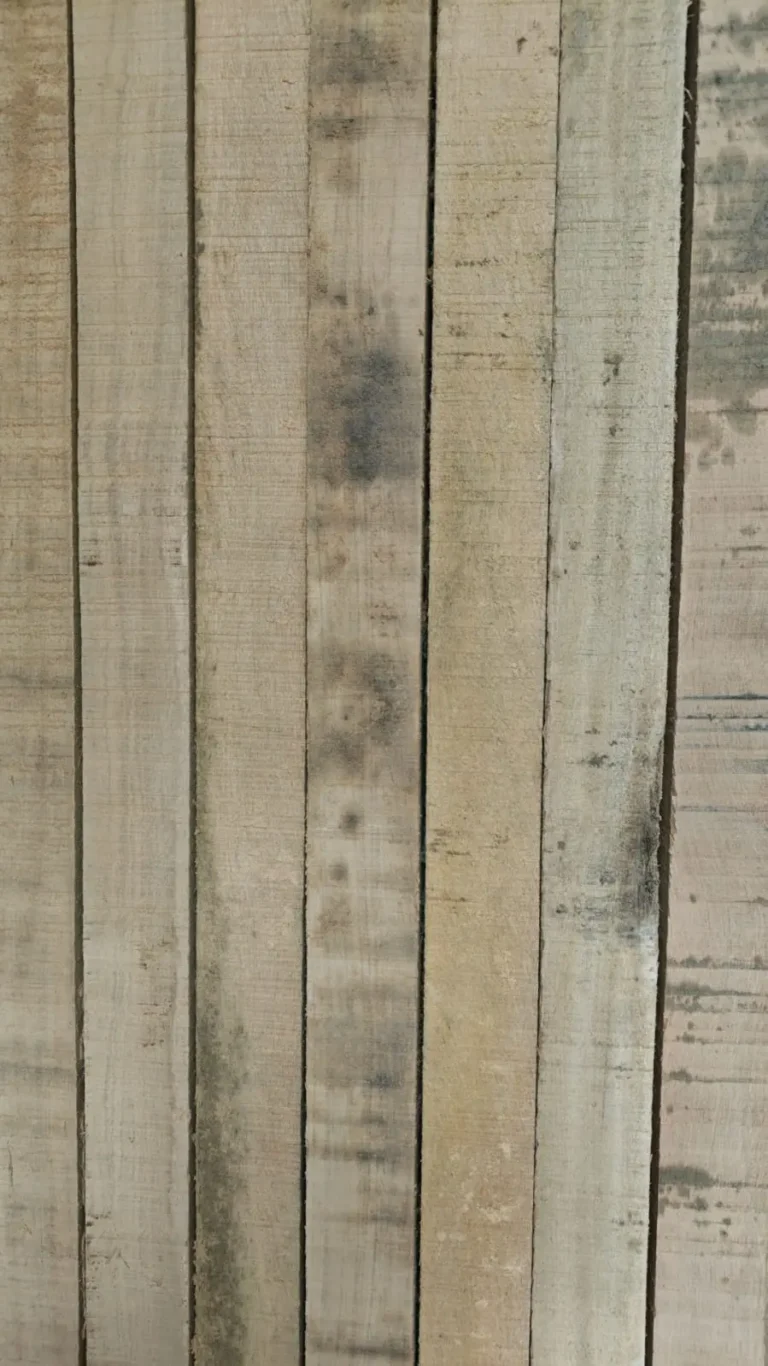 Vertical stack of raw Sal wood planks with natural grain and slight dark markings.